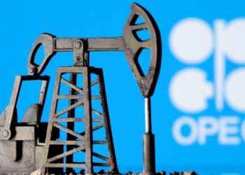 OPEC oil output drops in Nov after cut pledged