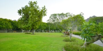 مواطنون:  تطوير الحدائق والمتنزهات يعزز الأنشطة الترفيهية ويحقق الراحة النفسية