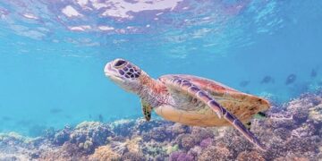 Endangered species focus of Conservation Day