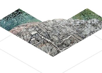 Omani project among five winners of Earthshot Prize
