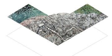 Omani project among five winners of Earthshot Prize