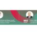 IEA, top energy sector bigwigs to attend Oman conclave today