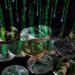 The Central Bank Digital Currency: Between the reality and the future