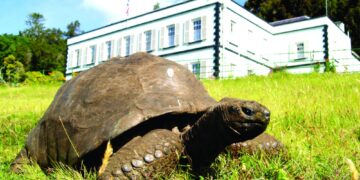 صورة السلحفاة العملاق جوناثان تزين طابع بريد وعملة في عيد ميلاده رقم 190