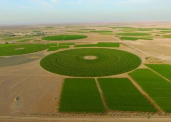 Food security investments top RO 1.3 billion