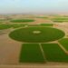 Food security investments top RO 1.3 billion