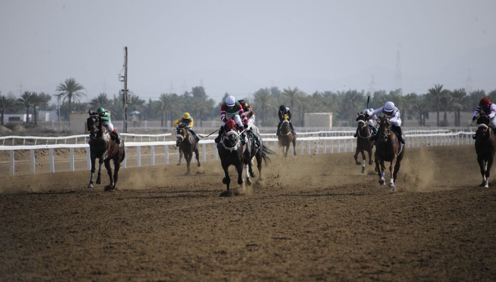 تواصل الاثارة في سباقات نادي الخيل السلطاني بالرحبة 1 تواصل الاثارة في سباقات نادي الخيل السلطاني بالرحبة