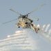 Sultanate of Oman to mark Armed Forces Day