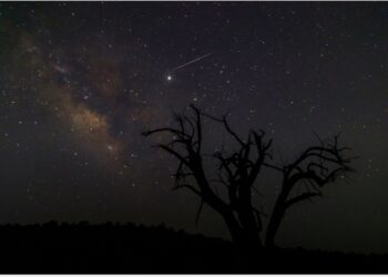 You can witness Geminid meteor showers this week