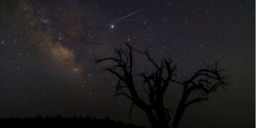 You can witness Geminid meteor showers this week