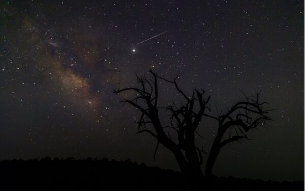 You can witness Geminid meteor showers this week