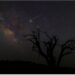 You can witness Geminid meteor showers this week
