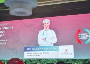 The world needs affordable energy: Aufi