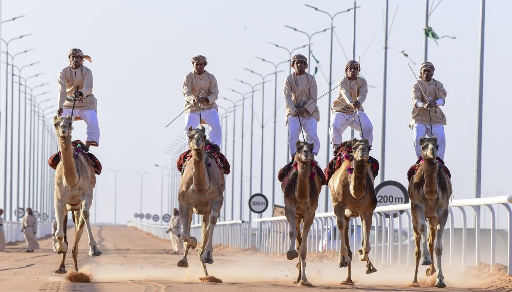 الهجانة السلطانية تشارك في مهرجان الملك عبد العزيز للإبل