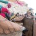 Activists dressed as birds and trees rally for nature at COP15 in Montreal