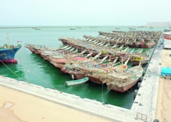 Consortium to develop mega fisheries hub in Duqm
