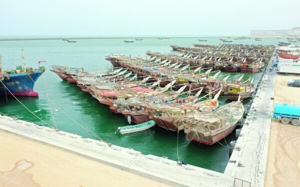 Consortium to develop mega fisheries hub in Duqm