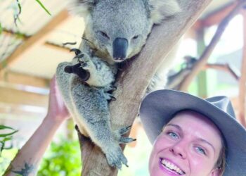 رحلة برية لمشاهدة الحيوانات من سيدني إلى ملبورن