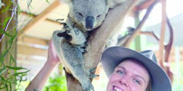 رحلة برية لمشاهدة الحيوانات من سيدني إلى ملبورن