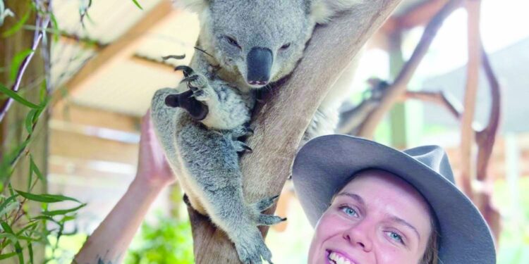 رحلة برية لمشاهدة الحيوانات من سيدني إلى ملبورن 1 رحلة برية لمشاهدة الحيوانات من سيدني إلى ملبورن