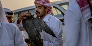 In Qatar, the Sport of falconry gets some upgrades