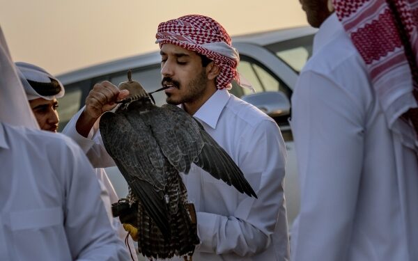 In Qatar, the Sport of falconry gets some upgrades