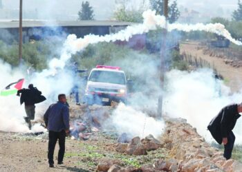 الأمم المتحدة تقر بالأغلبية حق الشعب الفلسطيني في تقرير مصيره