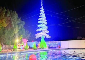 Tree made of unwanted materials draws attention