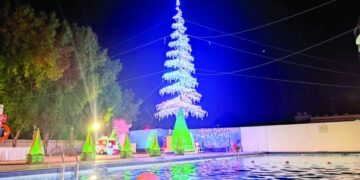 Tree made of unwanted materials draws attention