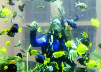 تحطم أضخم حوض أسماك أسطواني في العالم