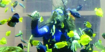 تحطم أضخم حوض أسماك أسطواني في العالم