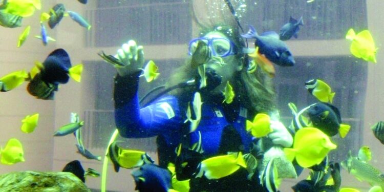 تحطم أضخم حوض أسماك أسطواني في العالم