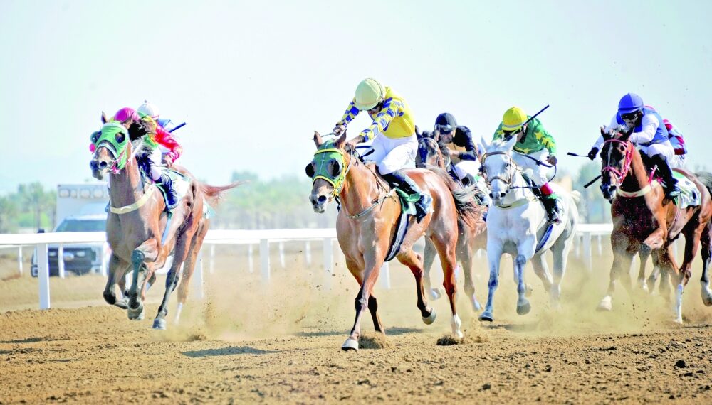 8 أشواط شهدها سباق نادي الخيل السلطاني التاسع بالرحبة