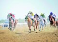 8 أشواط شهدها سباق نادي الخيل السلطاني التاسع بالرحبة