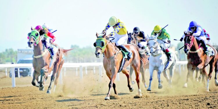 8 أشواط شهدها سباق نادي الخيل السلطاني التاسع بالرحبة