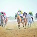 8 أشواط شهدها سباق نادي الخيل السلطاني التاسع بالرحبة 8 8 أشواط شهدها سباق نادي الخيل السلطاني التاسع بالرحبة