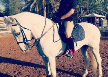 راشد السعيدي .. قصة شغف بممارسة ركوب الخيل
