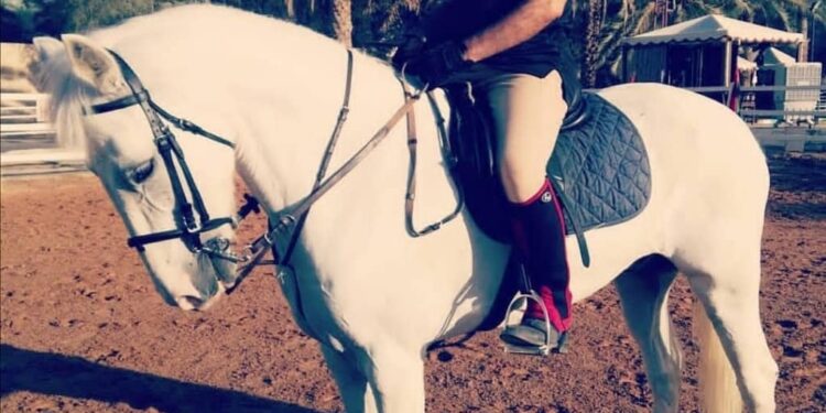 راشد السعيدي .. قصة شغف بممارسة ركوب الخيل 1 راشد السعيدي .. قصة شغف بممارسة ركوب الخيل
