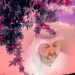 الامام الغزالي (المُنقذ من الضلال ) 