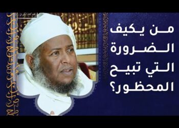 من يكيف الضرورة التي تبيح المحظور؟ ومن يبينها للناس؟