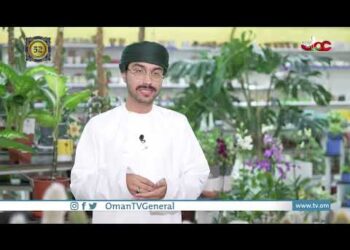 ما الذي يمكن أن تفعله شجرة واحدة؟!