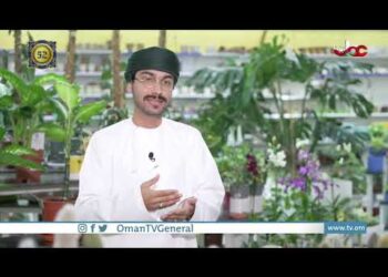 كيف تؤثر النباتات على بيئة الأماكن؟