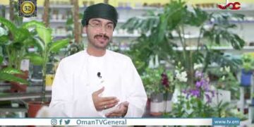 كيف تؤثر النباتات على بيئة الأماكن؟