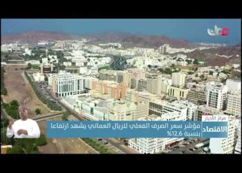 مؤشر سعر الصرف الفعلي للريال العماني يشهد ارتفاعا بنسبة 12,6%
