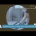 أقدم حمض نووي مسجل يكشف عن عالم جرينلاند المفقود