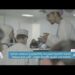 الكلية العالمية للهندسة والتكنولوجيا تستضيف فعالية للطلبة في الشرق الأوسط بعنوان "كأس ليكو مسقط" 8 الكلية العالمية للهندسة والتكنولوجيا تستضيف فعالية للطلبة في الشرق الأوسط بعنوان “كأس ليكو مسقط”