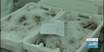 ارتفاع إنتاج الأسماك في سلطنة عُمان بنسبة 3.1 % بنهاية سبتمبر الماضي