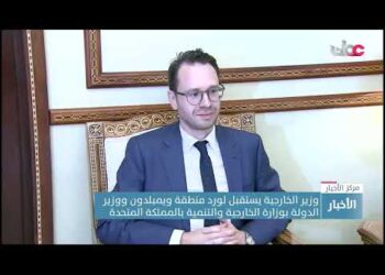 وزير الخارجية يستقبل لورد منطقة ويمبلدون ووزير الدولة بوزارة الخارجية والتنمية بالمملكة المتحدة