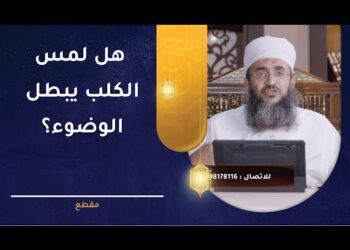 هل لمس الكلب يبطل الوضوء؟ | الشيخ إبراهيم بن ناصر الصوافي