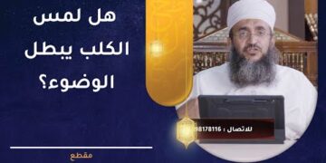 هل لمس الكلب يبطل الوضوء؟ | الشيخ إبراهيم بن ناصر الصوافي